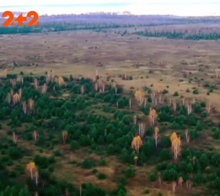 Шокирующее видео из Чернобыля: что за жуткое существо ползает возле Рыжего леса?