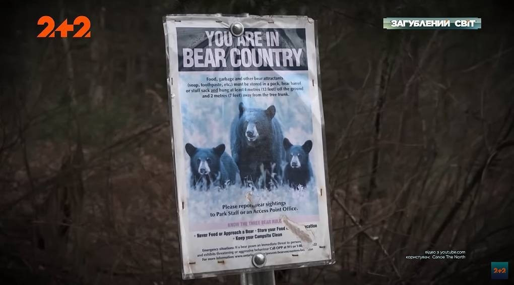 Парк, где дикие животные не боятся людей: ТОП-правил безопасного отдыха в Канаде?