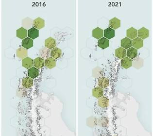 Крижаний край зеленіє: супутники NASA показали зміни в Антарктиді, які шокують науковий світ
