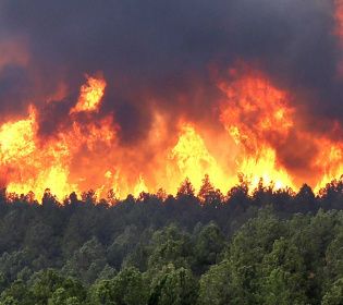 Про небезпеку лісових пожеж у літню спеку розкаже програма &quot;Страшне завтра&quot;