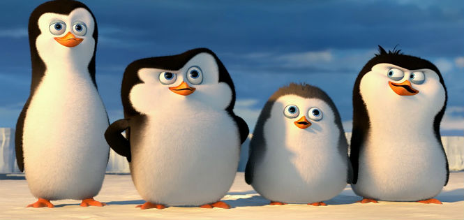 Пингвины из Мадагаскара 