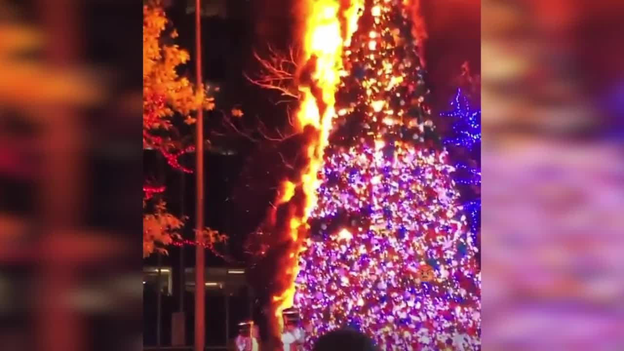 Бездомный сжег 15-метровую елку на площади в Нью-Йорке (фото, видео) — УНИАН