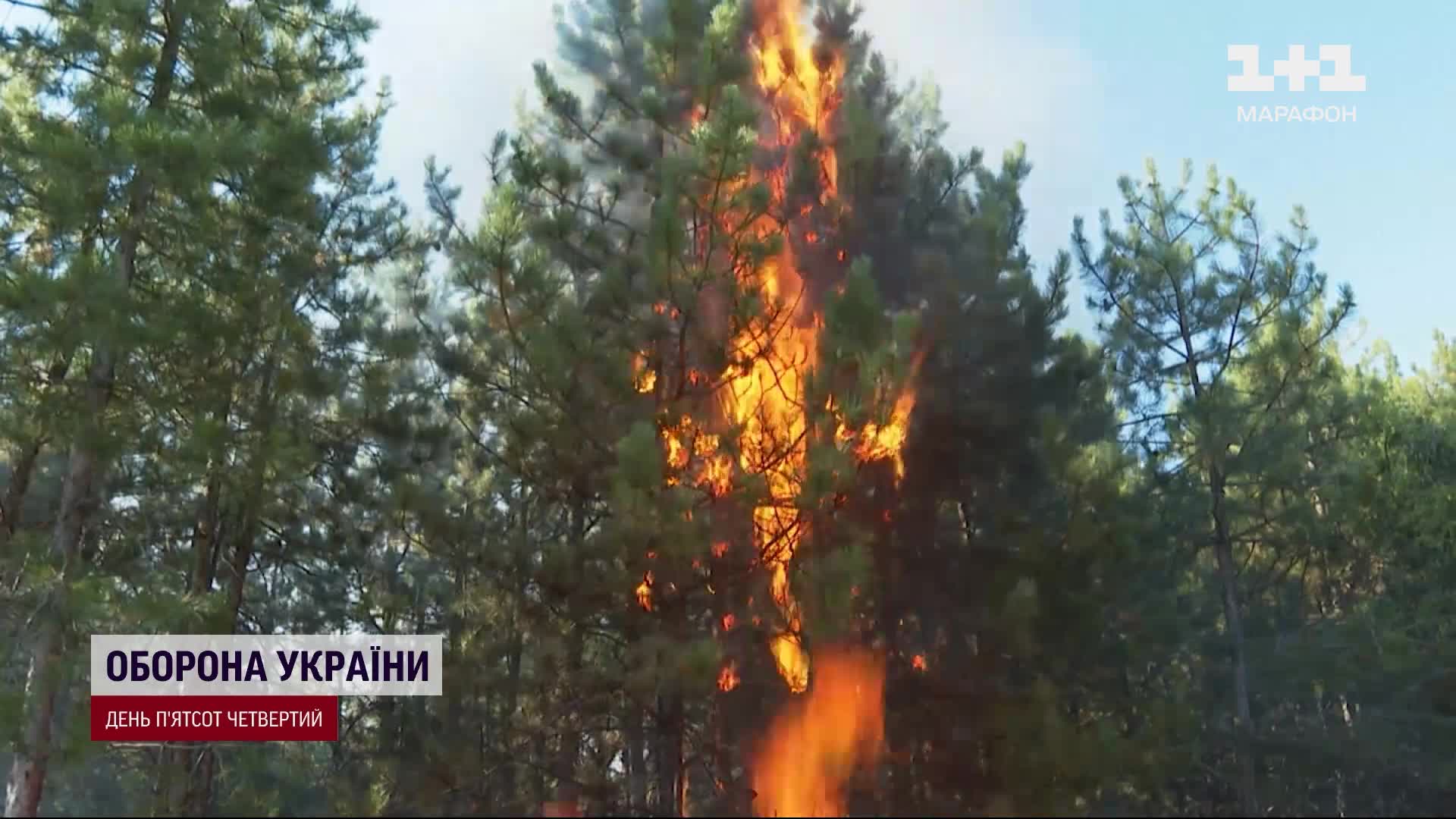 В восьми областях объявлен чрезвычайный уровень пожарной опасности