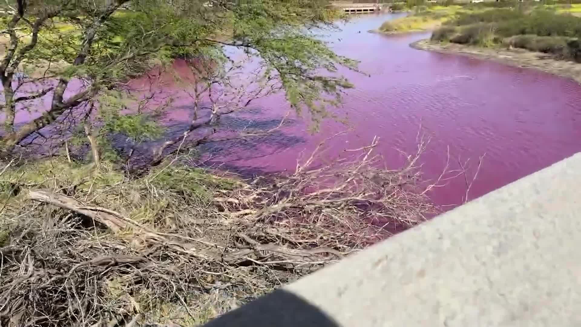 Видео обзор 