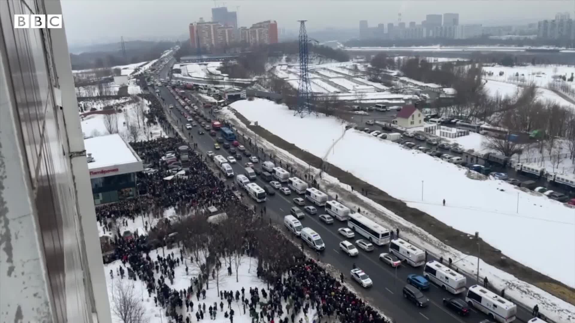 Толпа на похороне Навального